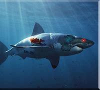 Image result for Robot Shark Pictures