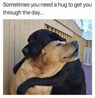 Image result for I Need a Hug Meme