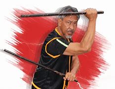Image result for Filipino Martial Arts DVD Combaton