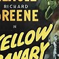 Image result for Female Yellow Canary