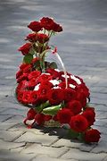 Image result for Animated Red Rose
