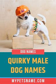 Image result for Cool Dog Names