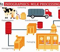 Image result for Milk Production Process
