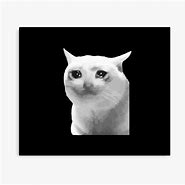 Image result for Crying Cat Meme Phone