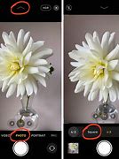 Image result for iPhone 7 Camera Tutorial