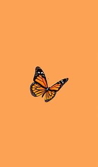 Image result for Aesthetic Orange Butterfly Wallpaper