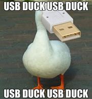 Image result for USB Meme