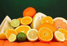 Image result for Citrus Fruits