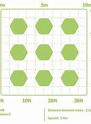 Image result for Orchard Tree Spacing Chart