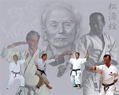 Image result for shotokan martial arts master
