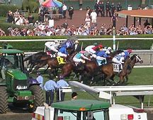 Image result for Breeders' Cup