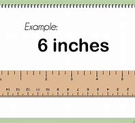 Image result for How Big Is 6 Inchers