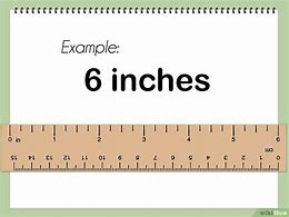Image result for How Does 6 Inches Look Like