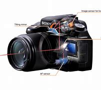 Image result for Sony A350 Portrait Photography