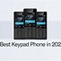 Image result for Sony Keypad Mobile