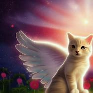 Image result for Angel Cat Meme