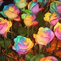 Image result for Colorful Rainbow Flowers Wallpaper