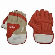 Image result for Best Wicket Keeping Gloves