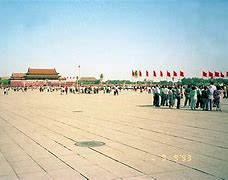 Image result for China Year 1993