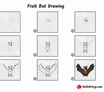 Image result for Fruit Bat How to Draw
