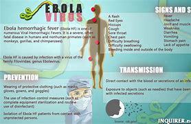 Image result for albj�rbola