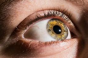 Image result for Eye Photography