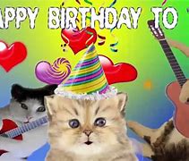 Image result for Happy Birthday Kat Kitty Kat