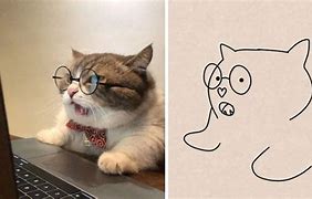 Image result for Funny Looking Animals Drawings