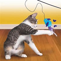 Image result for Super Cool Cat Toys