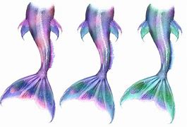 Image result for Real Mermaid Siren