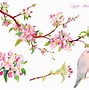 Image result for Apple Blossom Flower Clip Art