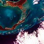 Image result for Grand Bahama Is Known For