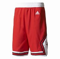 Image result for Chicago Bulls Adidas