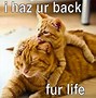 Image result for Top Memes Trending Funny Real Life