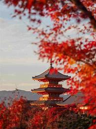 Image result for Autumn Scenery of Tokyo