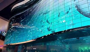 Image result for LG OLED TV World Largest Mall Dubai