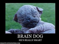 Image result for Super Brain Funny Pils