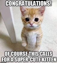 Image result for Congratulations Meme Business Cat