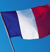 Image result for Francuska Zastava