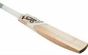 Image result for Cricket Bat Realistic Image