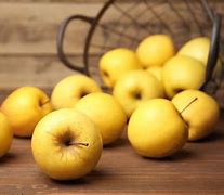 Image result for Golden Apple Varieties