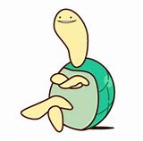 Image result for Smiling Turtle Meme