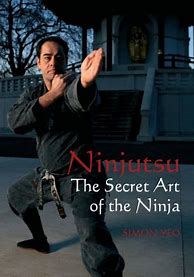 Image result for Ninjutsu Training Books