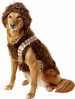 Image result for Dog Halloween Costumes Star Wars