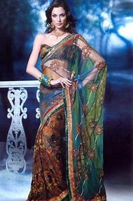 Image result for Modern Indian Sari