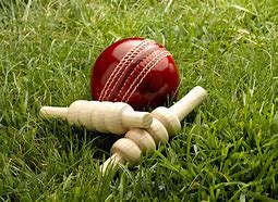 Image result for Cricket Pitch Aerial View