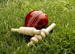 Image result for Cricket Pitch Grass