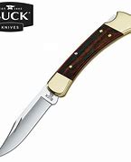 Image result for Buck Knives 110 Folding Hunter