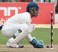 Image result for A Wicket for Cricket