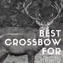 Image result for Crossbow Deer Hunting